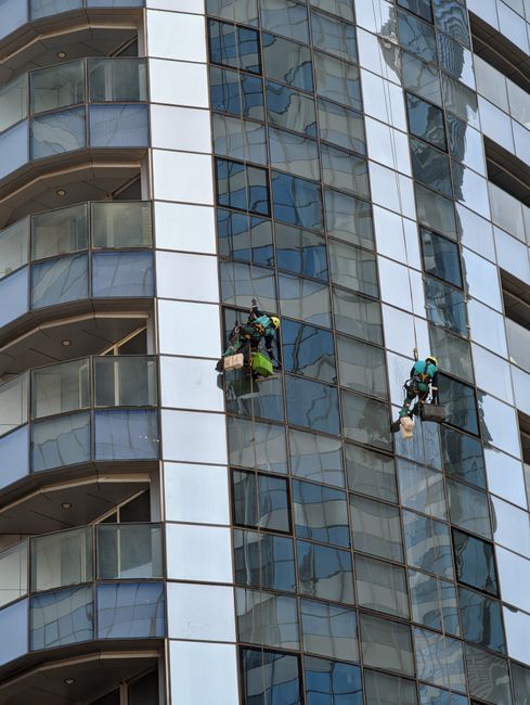 Two window cleaners are suspended on harnesses attached to the exterior of a modern high-rise building with a glass facade, performing surface cleaning on the large, reflective windows. The building features numerous glass panels framed by white structural elements, with curved balconies visible on the left side. The window cleaners are equipped with harnesses, safety gear, and cleaning tools, working amidst natural daylight that illuminates the sleek, shiny surfaces. This scene highlights the challenges of access and safety considerations for cleaning high-rise windows in residential or commercial building environments, as addressed by Ilford Carpet Cleaning in their expertise in maintaining hygienic, well-maintained spaces despite tough access issues.