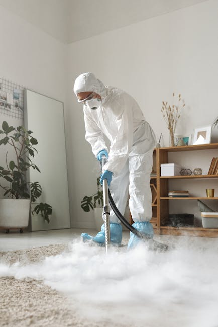A professional cleaner dressed in a white protective suit, gloves, and face mask is performing deep cleaning on a light beige, high-pile carpet in a well-lit residential living room. The cleaner is using a steam cleaning device to sanitize and refresh the carpet's surface, with visible steam and foam indicating thorough cleaning. The room features a wooden side table, potted plants, and a large window allowing natural light to illuminate the space. The clean, tidy environment showcases the high standards of hygiene and surface cleaning expected from Ilford Carpet Cleaning, emphasizing their expertise in domestic cleaning and routine or deep carpet sanitisation.