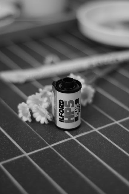 A small black and white container labeled 'Ilford HP5 Plus' sits on a dark tiled kitchen countertop, surrounded by a cluster of white artificial flowers. The surface appears clean and smooth, with light reflecting subtly off the tiles, and a portion of a stainless steel rack or shelf is visible in the background. The setting is well-lit, highlighting the neat and hygienic appearance of the area, which suggests recent surface cleaning or preparation for cleaning tasks. Ilford Carpet Cleaning's service is implied through the context of surface maintenance and sanitisation in a domestic environment.