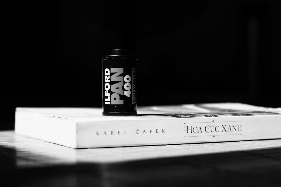 A small black and white container labeled 'Ilford HP5 Plus' sits on a dark tiled kitchen countertop, surrounded by a cluster of white artificial flowers. The surface appears clean and smooth, with light reflecting subtly off the tiles, and a portion of a stainless steel rack or shelf is visible in the background. The setting is well-lit, highlighting the neat and hygienic appearance of the area, which suggests recent surface cleaning or preparation for cleaning tasks. Ilford Carpet Cleaning's service is implied through the context of surface maintenance and sanitisation in a domestic environment.